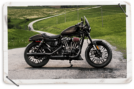 District Harley-Davidson® History of Customisation